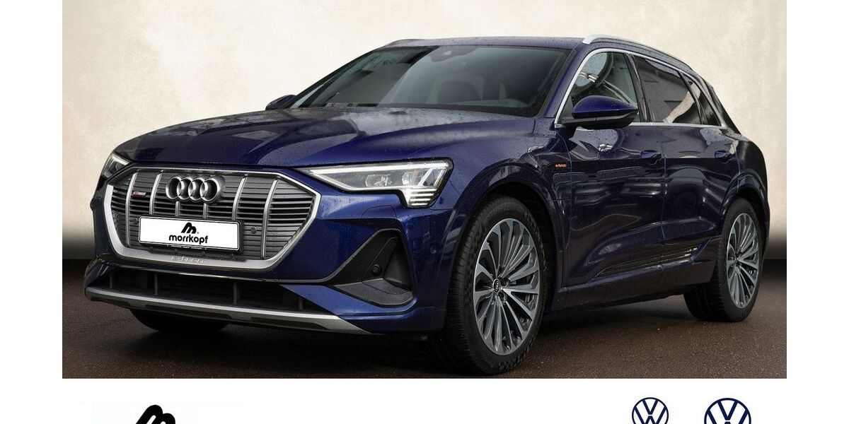 Audi e-tron 56.300 km 29.900 &euro; Weingarten 76356