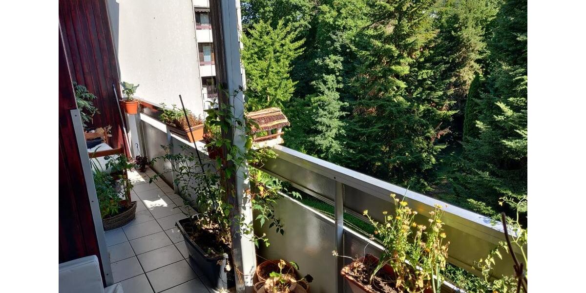 Renovierte 3 Zimmer Wohnung zimmer