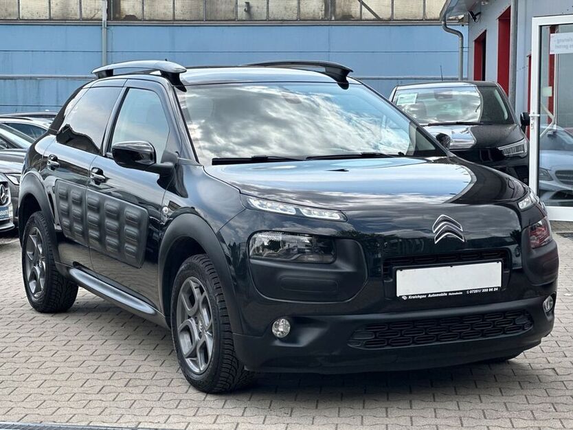 C4 Cactus