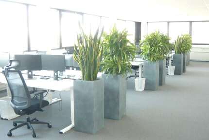 Büro in Karlsruhe 2.672,40 € 393 m² zimmer