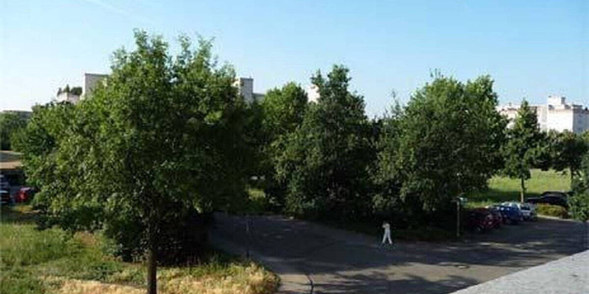 Terrassenwohnung Karlsruhe-Neureut Neureut - 3 Zimmer, 143 m&sup2;, 1.550&euro; | Angebot:25909947