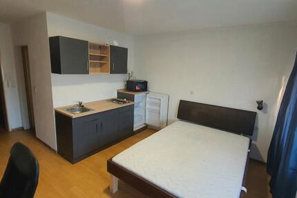 Wohnung Calw - 1 Zimmer, 25 m&sup2;, 360&euro; | Angebot:26469744
