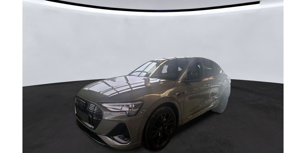 Audi e-tron 42.918 km 41.900 &euro; Ettlingen 76275