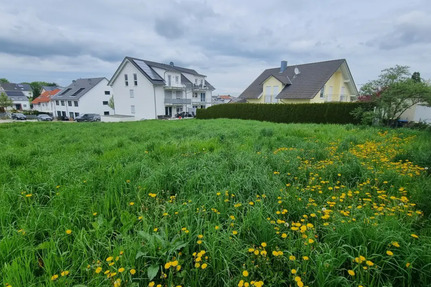 Sonniges Baugrundstück in Birkenfeld - Ruhige Lage im beliebten Wohngebiet 