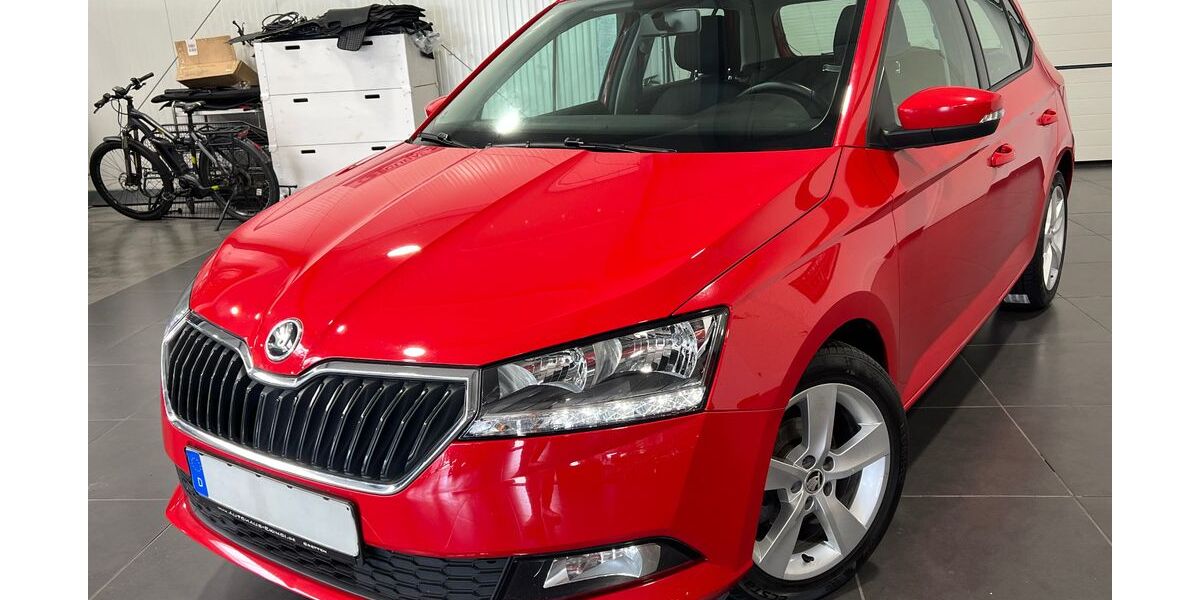 Skoda Fabia 89.000 km 9.995 &euro; Bretten 75015