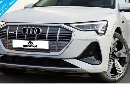 Audi e-tron 24.934 km 33.940 &euro; Weingarten 76356