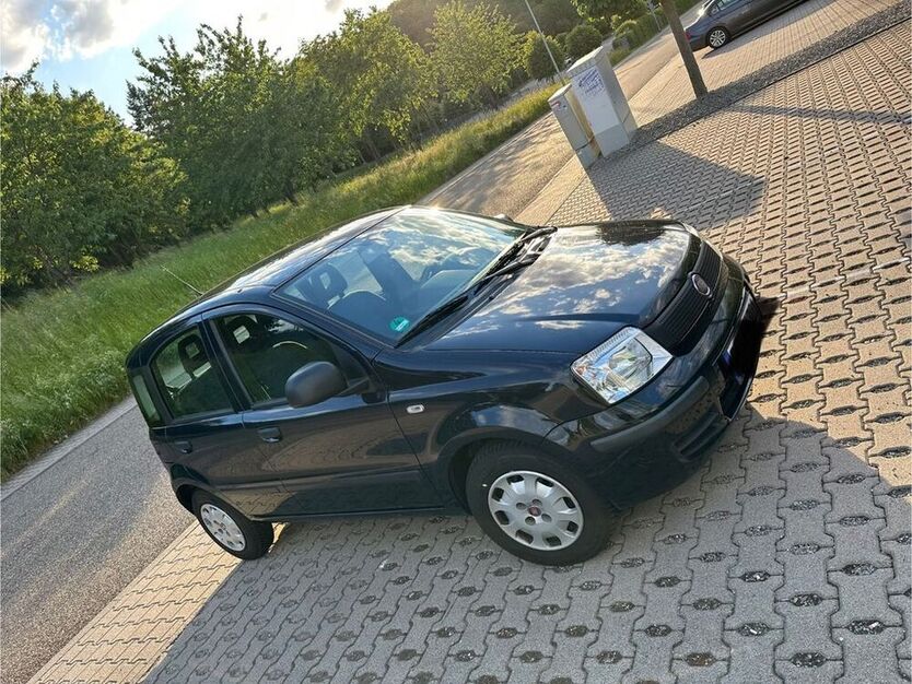 Panda