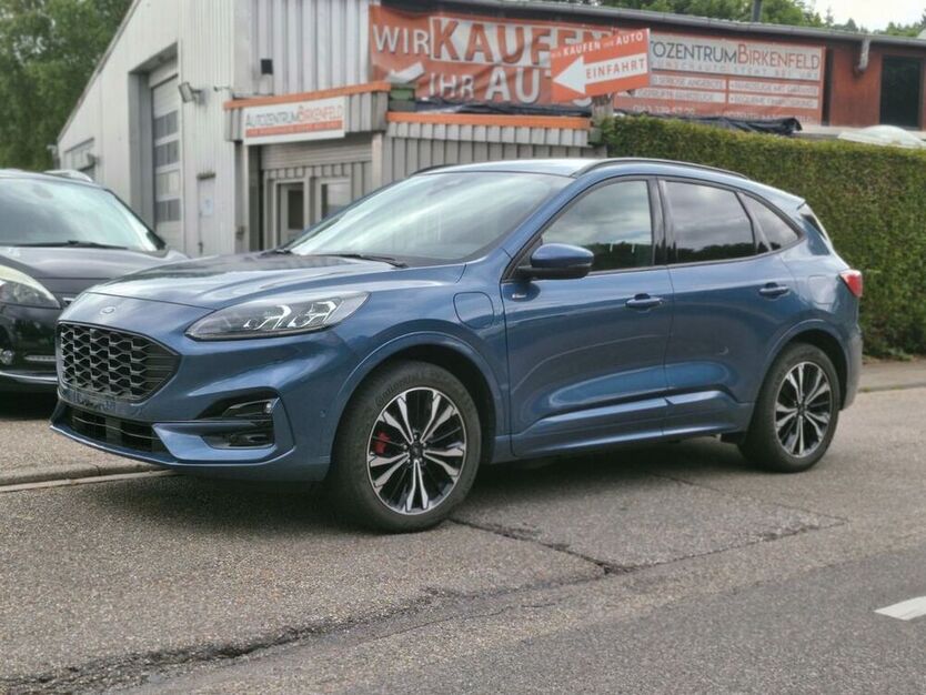 Kuga