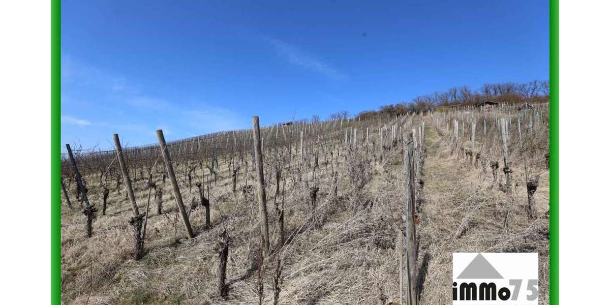 Grundstück zu verkaufen in Mühlacker 9.500 € 1800 m² zimmer