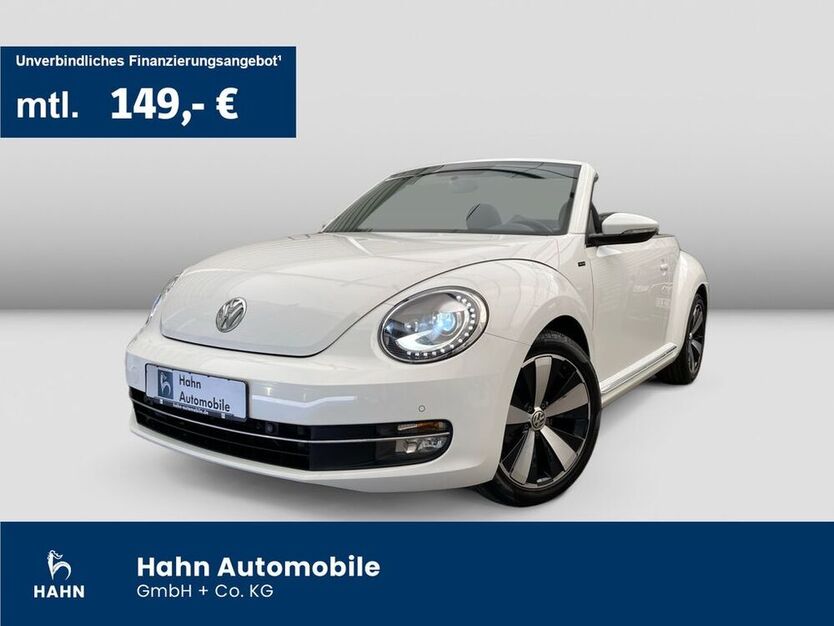 Beetle