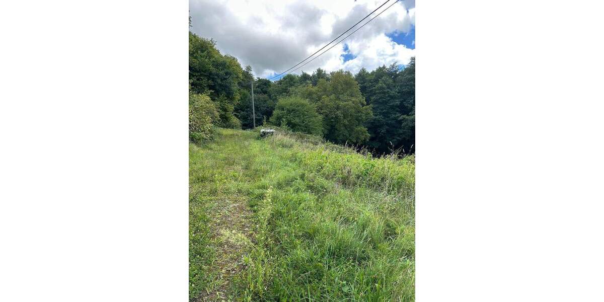 Grundstück Gaggenau Winkel - 165.000&euro; | Angebot:22304487