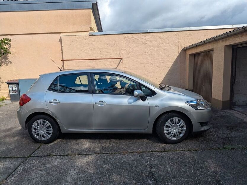 Auris