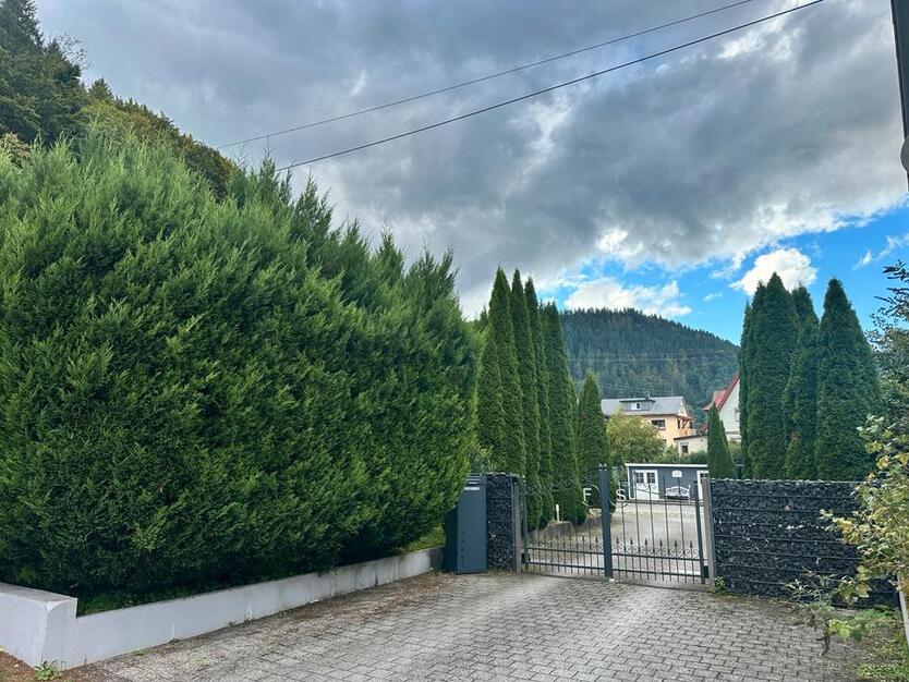 Freistehendes Einfamilienhaus mit EinliegerWohnung am Waldrand