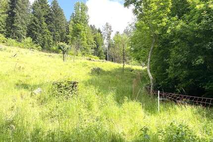 Grundstück zu verkaufen in Bad Wildbad 239.000 € 3814 m² zimmer