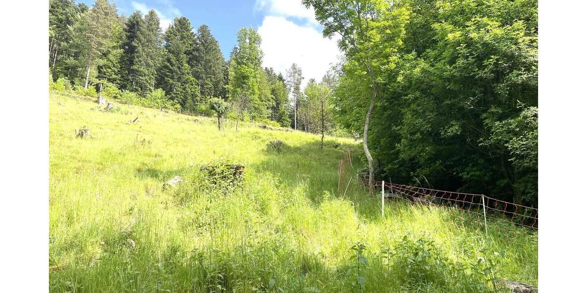 Grundstück zu verkaufen in Bad Wildbad 239.000 € 3814 m² zimmer