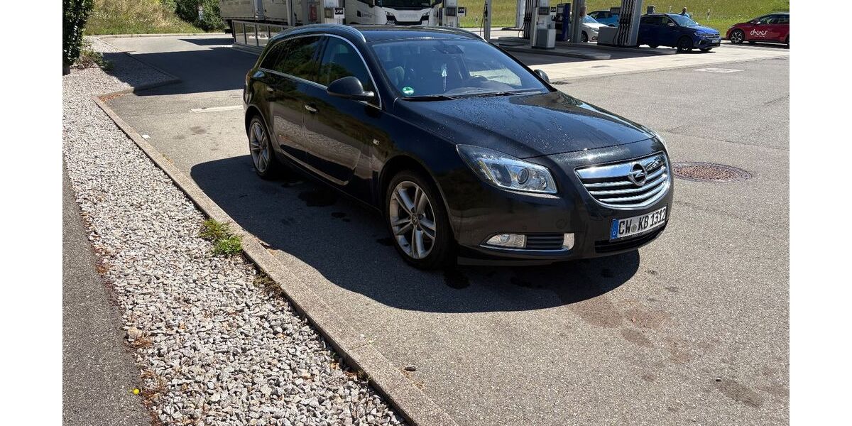 Opel Insignia 129.115 km 6.000 &euro; Wildberg 72218