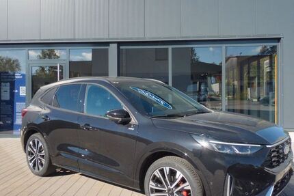 Ford Kuga 2.000 km 41.100 € Walzbachtal 75045