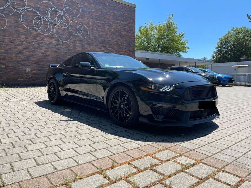 Mustang