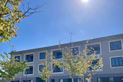 Haus Pfinztal Söllingen - 4 Zimmer, 140 m&sup2;, 1.650&euro; | Angebot:27446890