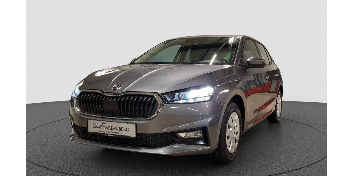Skoda Fabia 7.500 km 19.290 &euro; Karlsruhe 76131