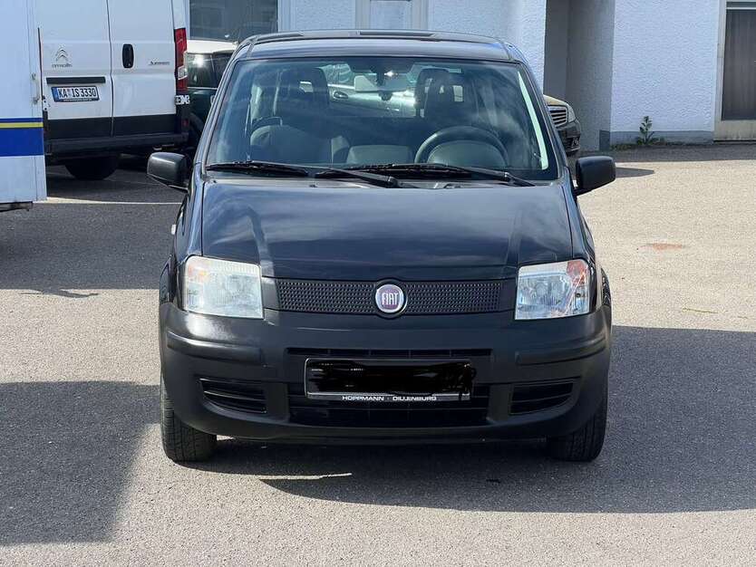 Panda