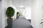 Modernes ruhiges Büro mit viel Tageslicht im 1.OG- ab 2 EURm²!* zimmer