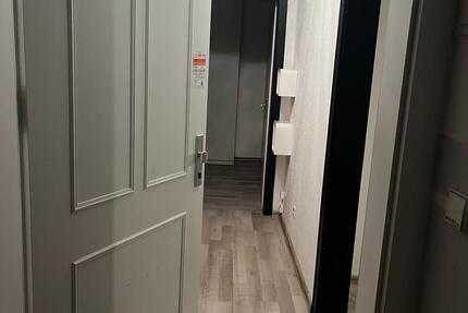 3 zimmer wohnung zimmer