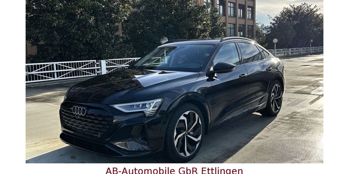 Audi Q8 e-tron 22.058 km 55.900 &euro; Ettlingen 76275
