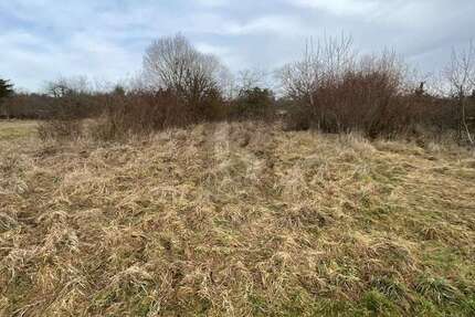 Grundstück Keltern - 55.000&euro; | Angebot:25549241