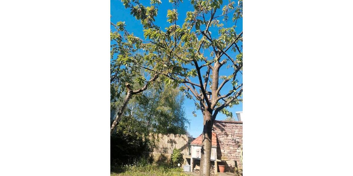 Erdgeschoßwohnung Karlsruhe Durlach - 4 Zimmer, 110 m&sup2;, 2.060&euro; | Angebot:26152530