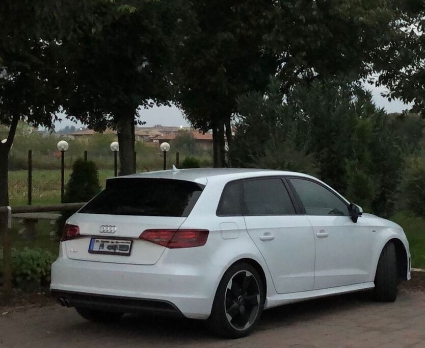 A3