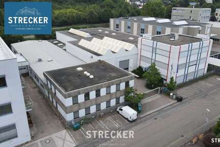 Halle in Königsbach-Stein 3.200.000 € 3131 m² zimmer