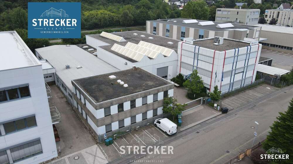 Halle in Königsbach-Stein 3.200.000 € 3131 m² zimmer