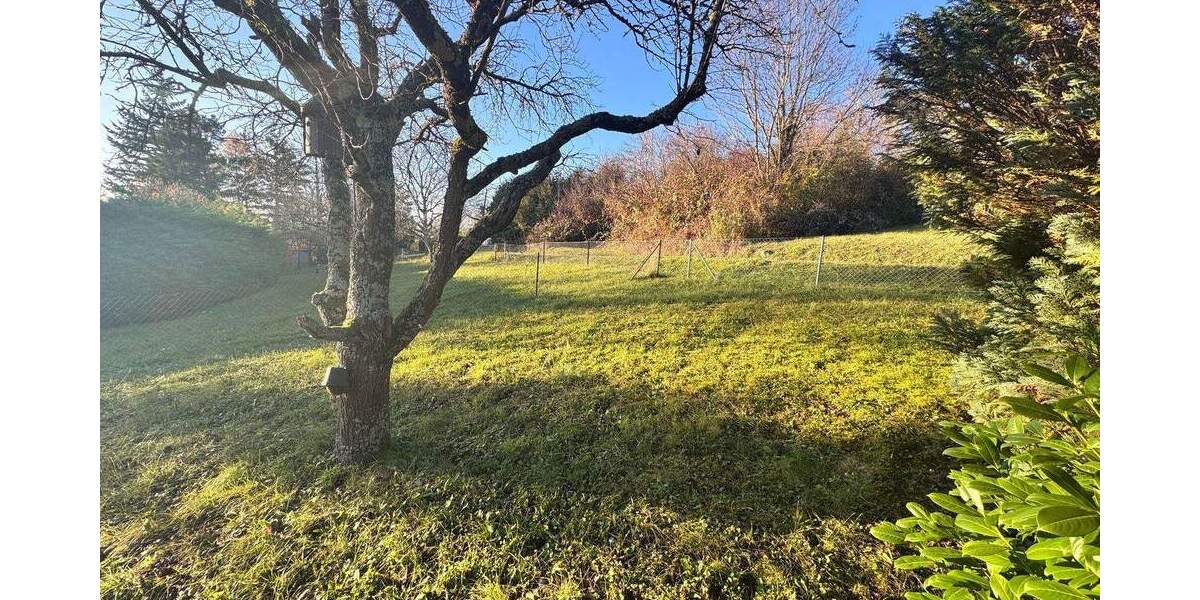 Grundstück Kämpfelbach Bilfingen - 24.000&euro; | Angebot:25244633