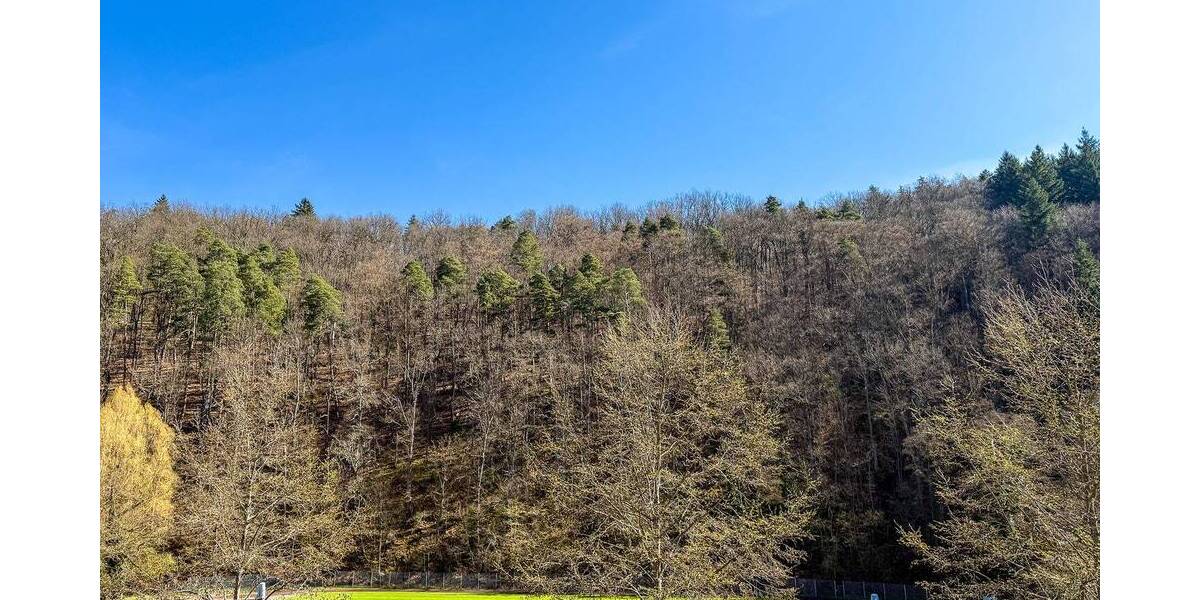 Einfamilienhaus Pforzheim Dillweißenstein - 6 Zimmer, 181 m&sup2;, 585.000&euro; | Angebot:26217620