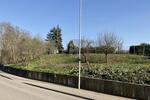 BAUPLATZ FÜR EIN MEHRFAMILIENHAUS - Grundstück Walzbachtal | Angebot:27288942