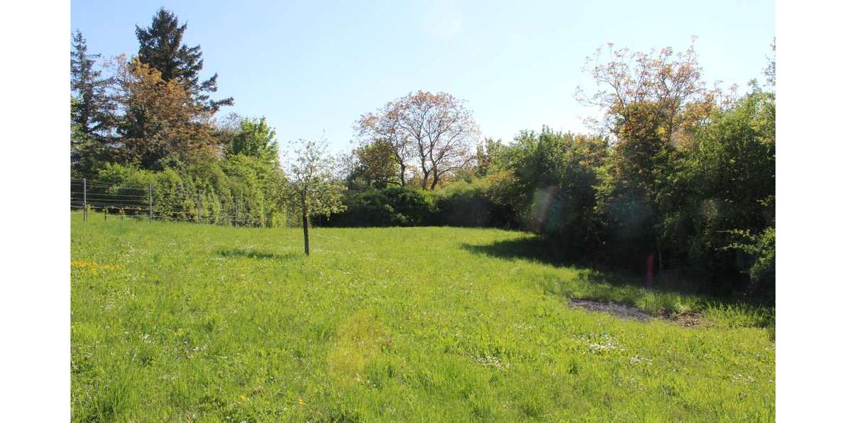 Grundstück Bruchsal - 69.000&euro; | Angebot:26284104