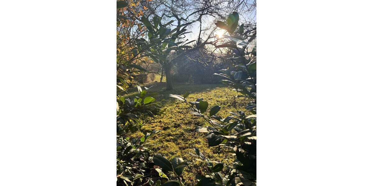 Grundstück Kämpfelbach Bilfingen - 24.000&euro; | Angebot:25728718