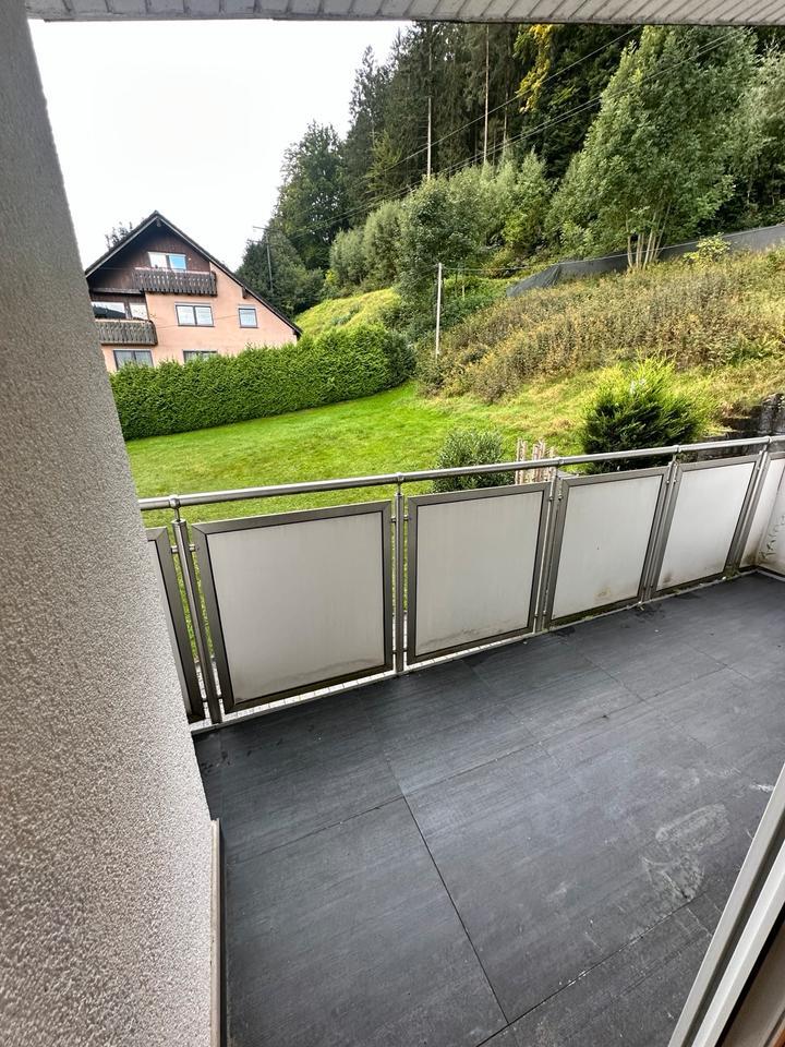 Freistehendes Einfamilienhaus mit EinliegerWohnung am Waldrand