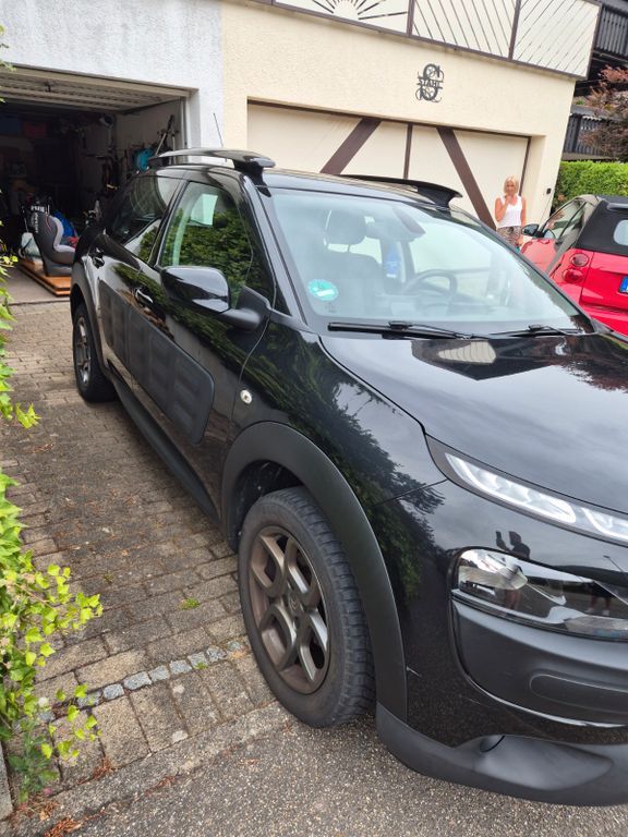 C4 Cactus