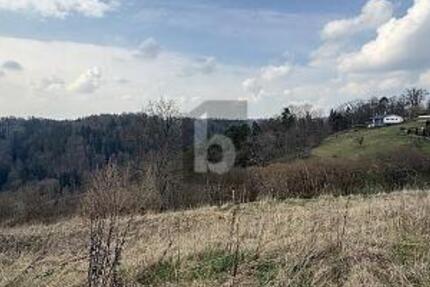 TRAUMHAFTE AUSSICHT MIT VIELEN MÖGLICHKEITEN - Grundstück Wildberg | Angebot:27095259