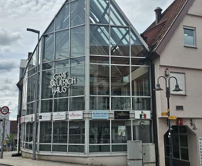 COOLE BAR IN TOP-LAGE - Gewerbeobjekt Leonberg | Angebot:27102375