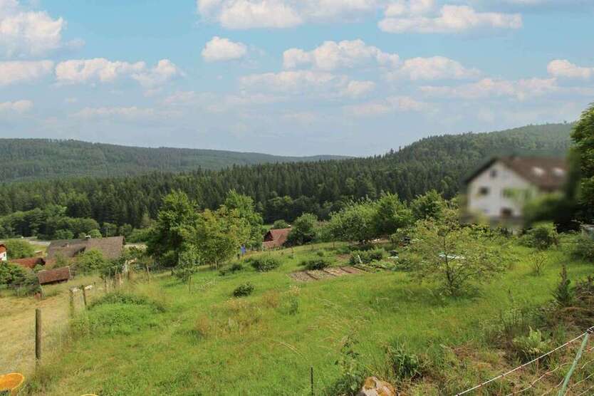 Grundstück zu verkaufen in Bad Wildbad 135.000 € 1035 m²