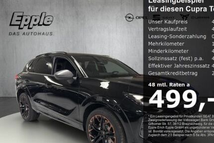 Cupra Terramar 1.990 km 48.490 &euro; Rutesheim 71277