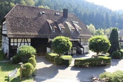 Helles Wohnappartement mit Balkon und Naturblick - Wohnung Calw (Kreis) | Angebot:26822568