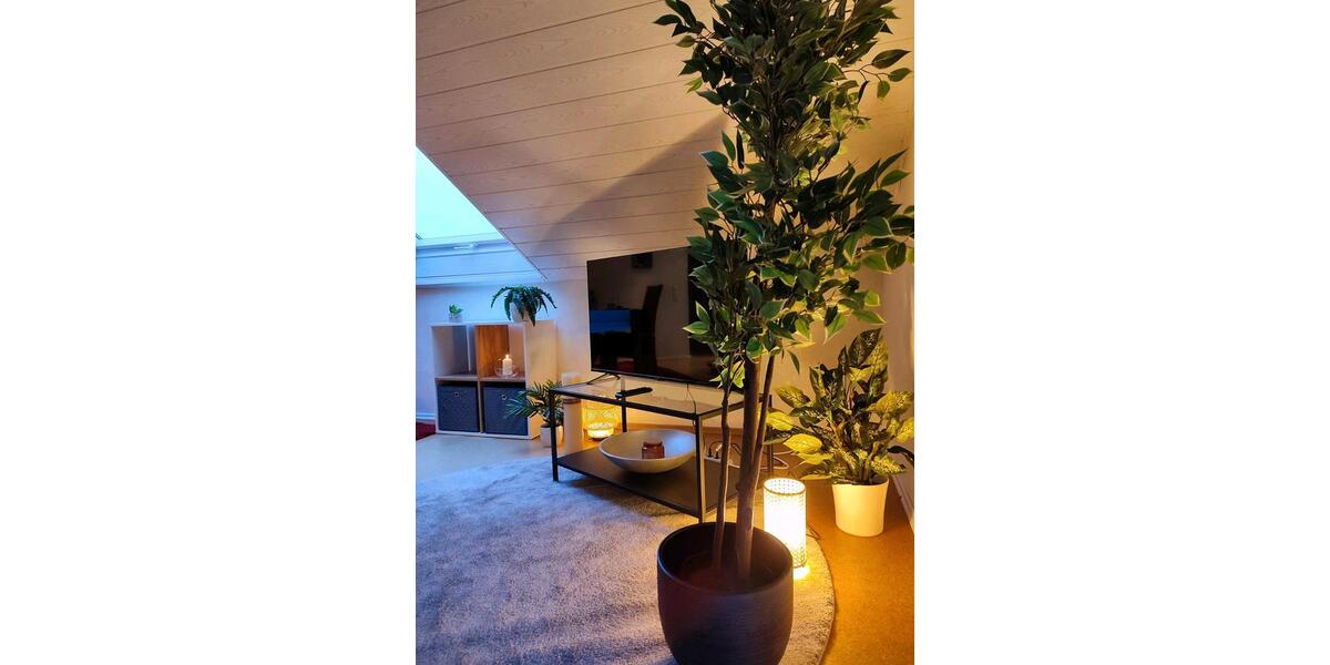 Dachgeschoßwohnung Schwieberdingen - 2.5 Zimmer, 55 m&sup2;, 1.150&euro; | Angebot:25660054