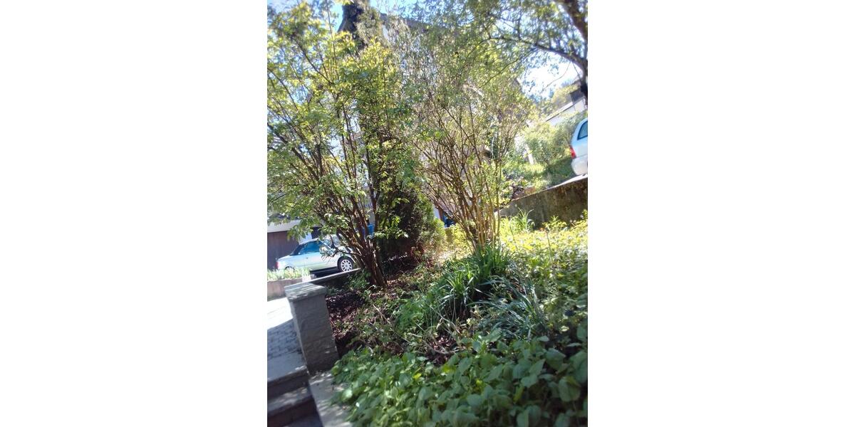 Reihenhaus Bad Liebenzell - 8 Zimmer, 230 m&sup2;, 439.000&euro; | Angebot:26310838