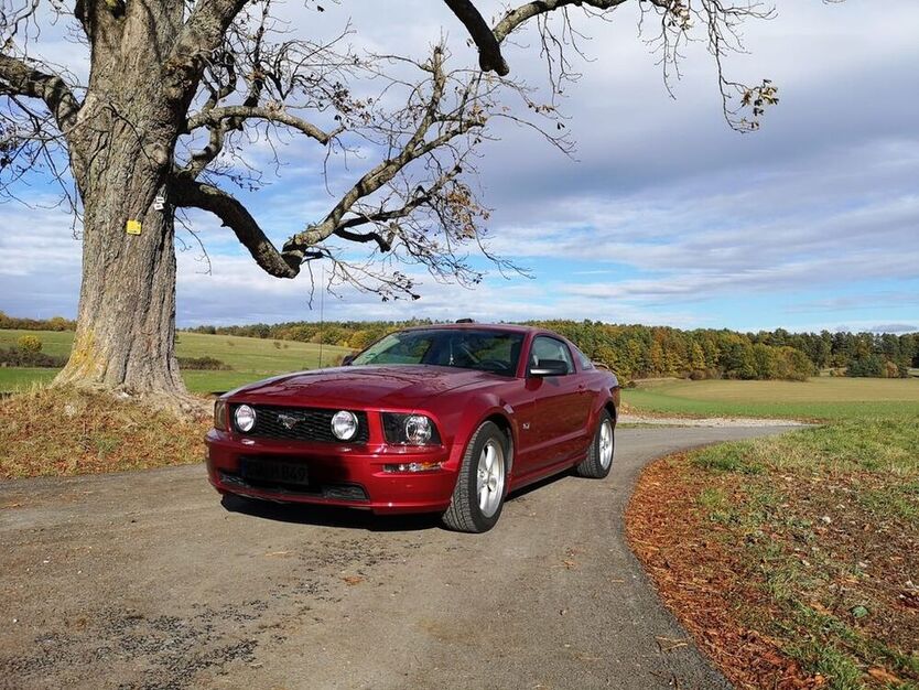 Mustang