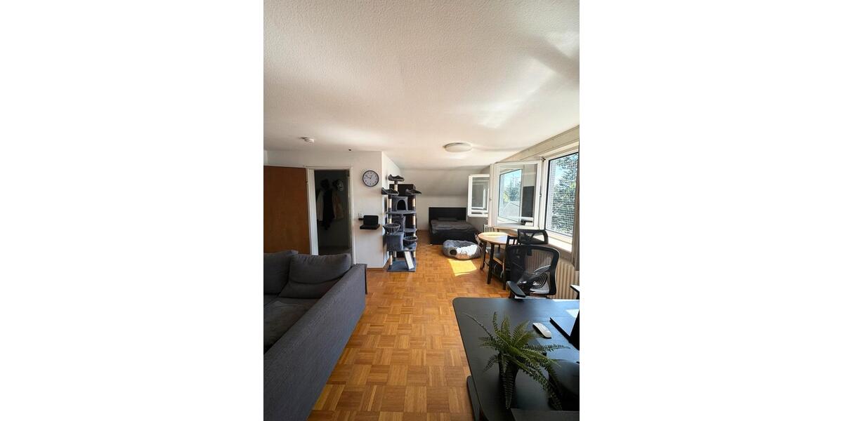 Dachgeschoßwohnung Karlsruhe Mühlburg - 1 Zimmer, 50 m&sup2;, 670&euro; | Angebot:26337389
