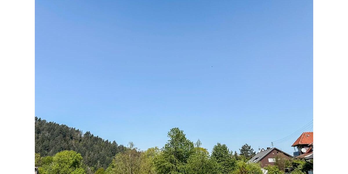Etagenwohnung Gaggenau - 2 Zimmer, 90 m&sup2;, 1.150&euro; | Angebot:26427062